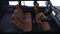 2026 Toyota Land Cruiser 4WD (Natl) 4WD
