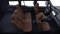 2027 Toyota Land Cruiser Land Cruiser 4WD