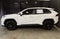 2024 Toyota RAV4 XLE FWD